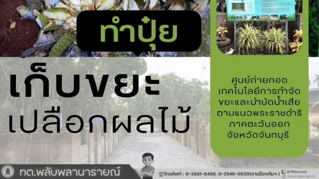 🍊 จัดเก็บขยะอินทรีย์ประเภทเปลือกผลไม้บริเวณตลาดศาลาปากแซง 🍉🍍